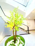 ShiGuang  Hotel