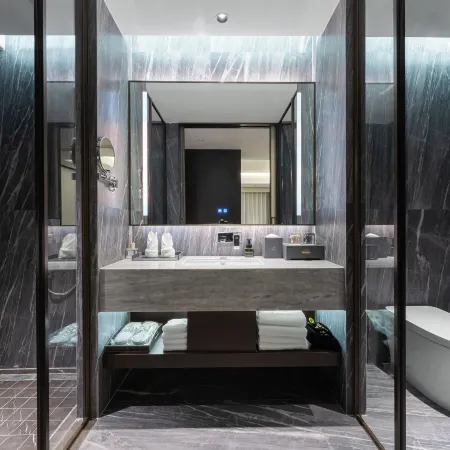 Selected Platinum Hyatt Hotel