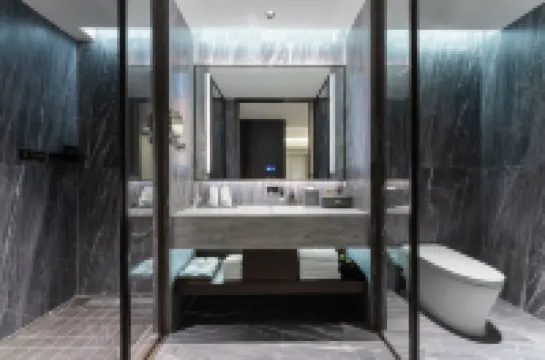 Selected Platinum Hyatt Hotel