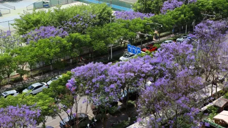 Yuhang Hotel (Kunming South High-speed Railway Station) Отели рядом с достопримечательностью «Kunming University of Technology Chenggong Campus College of Mechanical and Electrical Engineering»