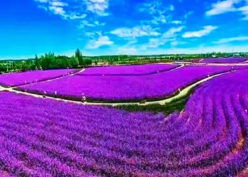 Aegean Hotel (Lanzhou New Area Zhongchuan Airport Branch) Рядом с отелем Photos