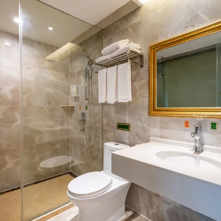 Vienna Hotel (Libo ancient  town)