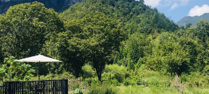 Nanxi River Meets Cloud Cliff B&B Hotels in Yongjia