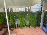 Pension David Hotels in Bucharest