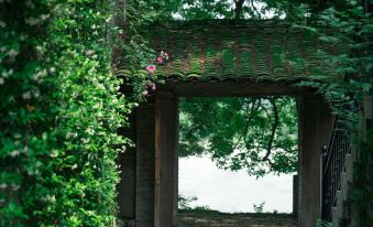 Seclusive Life In Landscape