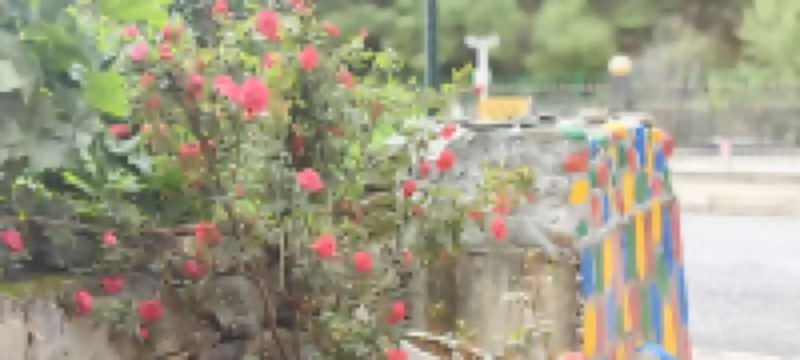 四姑娘山熠煊民宿ホテル（雙橋溝観光地）