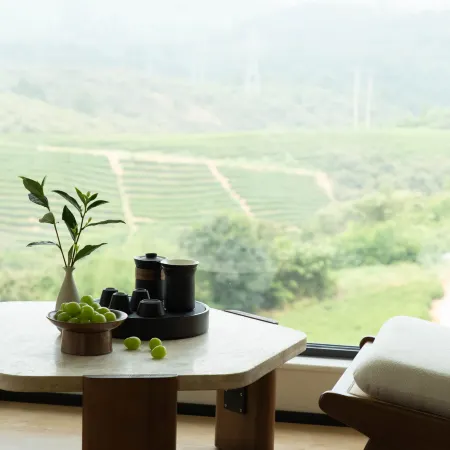 Nanshan Bamboo Sea Dongli Shangshe B&B