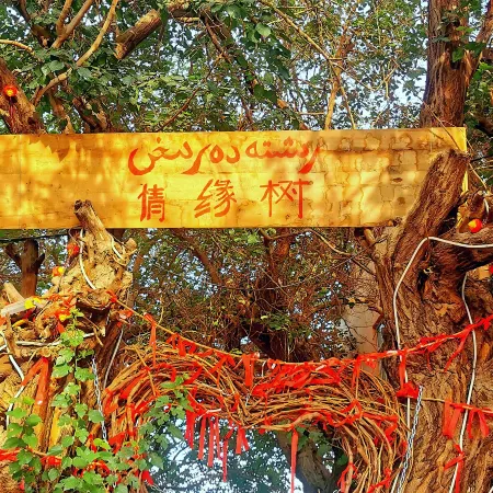Turpan Grape Village Sand Therapy Homestay (Grape Valley Branch)