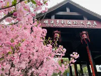 โรงแรมนานาชาติดัวหลี่ โรงแรมใกล้จิงซีหยกหยก