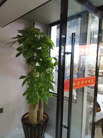 Wuzhen Hotel Отели в г. Уюань