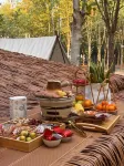 Wutong Forest Campground