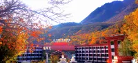 JiuZhaiGou JinLong International Resort Hotel