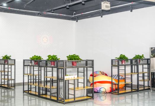 A Dream Youth Hostel