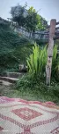 Tuabaandin - マウンテンビュー