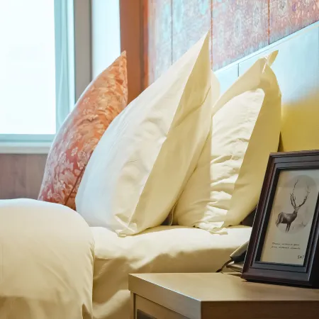 Xining  Qinggan Hotel