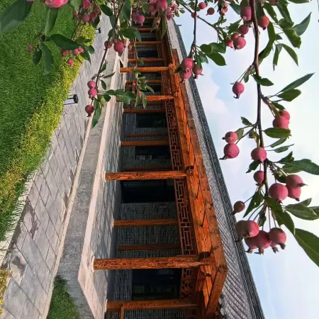 Xianxi Chanju