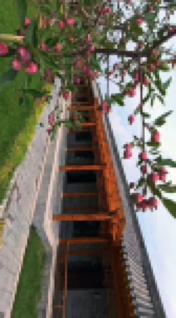 Xianxi Chanju