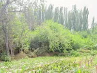 Xiangyunduan Homestay (Guizi Weijin Museum)