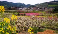 Liangjiang Yunsu (Lechang Huangluohuahai Store) - Mountain view