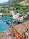 Liyangtian Luxury Wild Vacation Apartment - สระว่ายน้ำแบบอินฟินิตี้