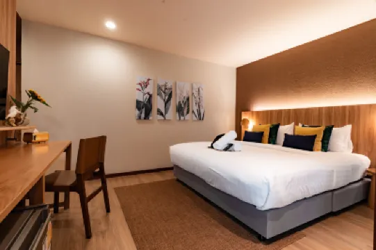 My Bed Gold Hotel Hotels in 