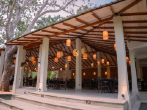 Oak Ray Elephant Lake