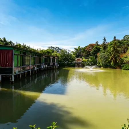 Huizhou Luofushan Lihe Ecological Park Hot Spring Homestay
