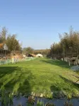 Jerry's House - 로맨틱