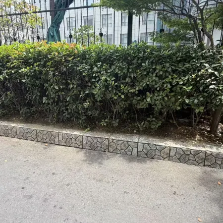 Crystal Designer High-Rise Hotel (Donghai High-Speed Railway Station Pedestrian Street)