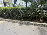 Crystal設計師高空飯店（東海高鐵站步行街店） - 3 星級