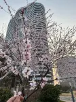 Chengxin Apartment (Dongdaihe Kaisa Ye Phase 3)