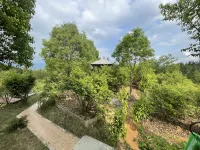 Dehua Lvtai Homestay