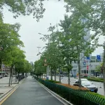 Dahuadu Business Hotel - 2-Star