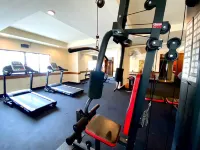 Boutique City Hotel - palestra