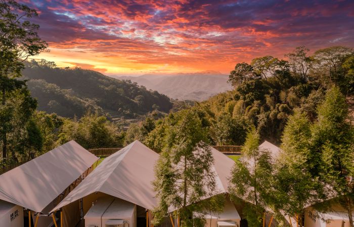 Grow Tree Glamping