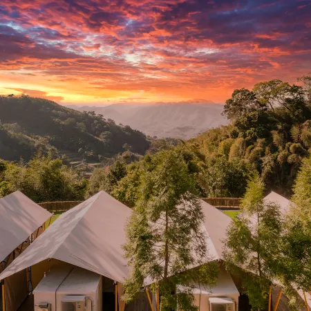 Grow Tree Glamping