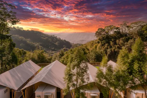 Grow Tree Glamping Hotels in Miaoli