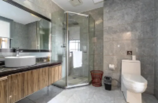 麗峯酒店(重慶江北國際機場店)