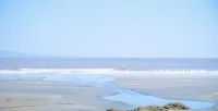 My forest-east sea Beach Resort Homestay - Beach