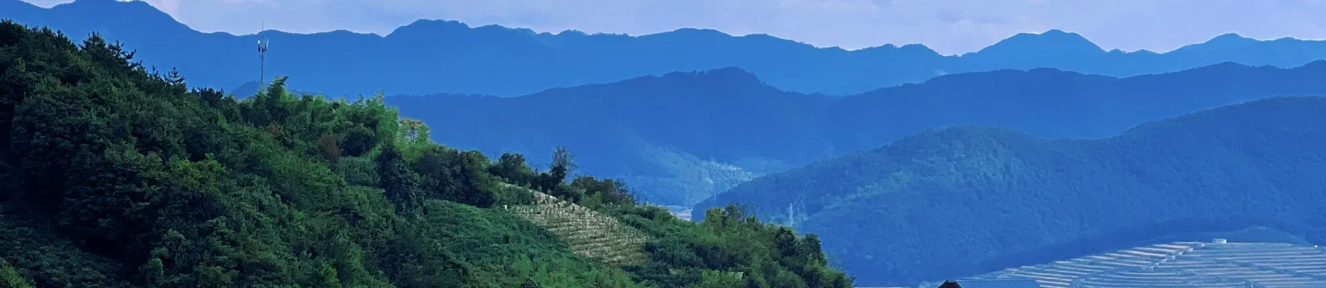Hotels with Villas