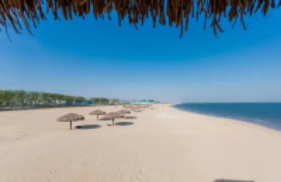 Near The Sea Hotel