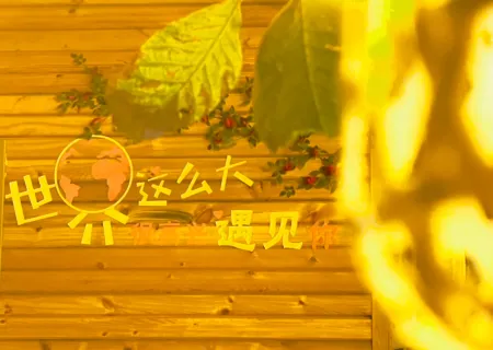 Encountering homestays again