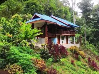 Jodjam Memorize I Chiang Mai