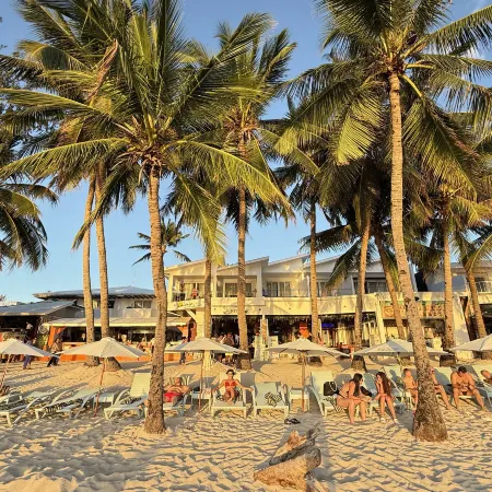 Calypso Beach and Dive Resort