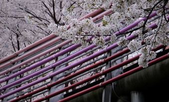 A Balance Hotel (Ningbo Eastern New Town Convention Center)