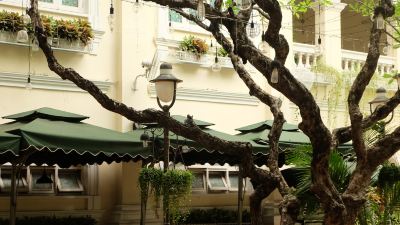 庭 ホテル コンチネンタル サイゴンの写真