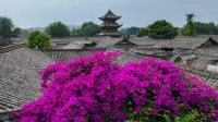 Blossom Hill Fairyland - Scenic