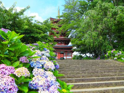 ホテル周辺 松戸グランドホテルの写真