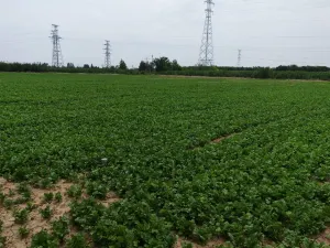 美豪麗致飯店（咸陽乾縣高鐵站店）