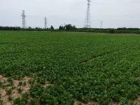 MEHOOD LESTLE Hotle Xianyang Qian County-speed Railway Station Hotel a Contea di Qian